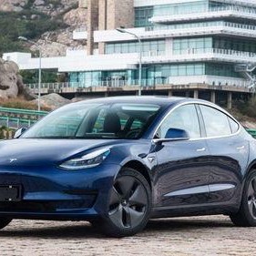 国产琪琪,琪琪的奇幻冒险之旅